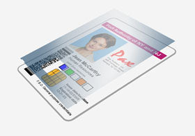 Zebra 800086-069 ribbon de laminado transparente BOTTOM para ZXP Series 7 (ZXP)